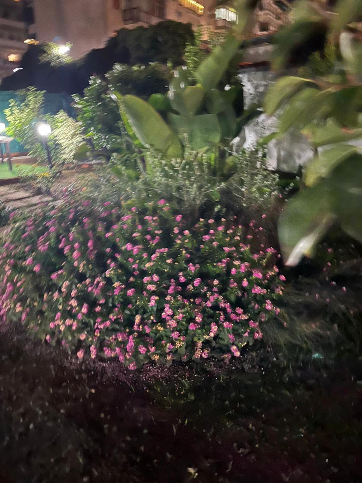 Casetta Bianca 팔레르모 외부 사진